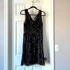 Loft dress black lace